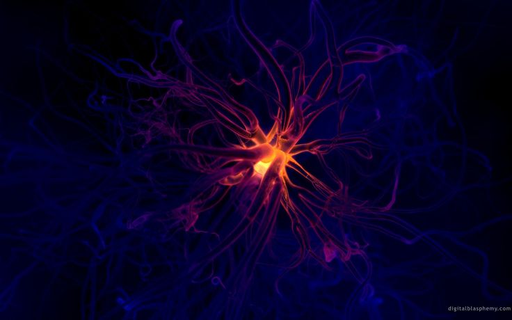 Neurons
